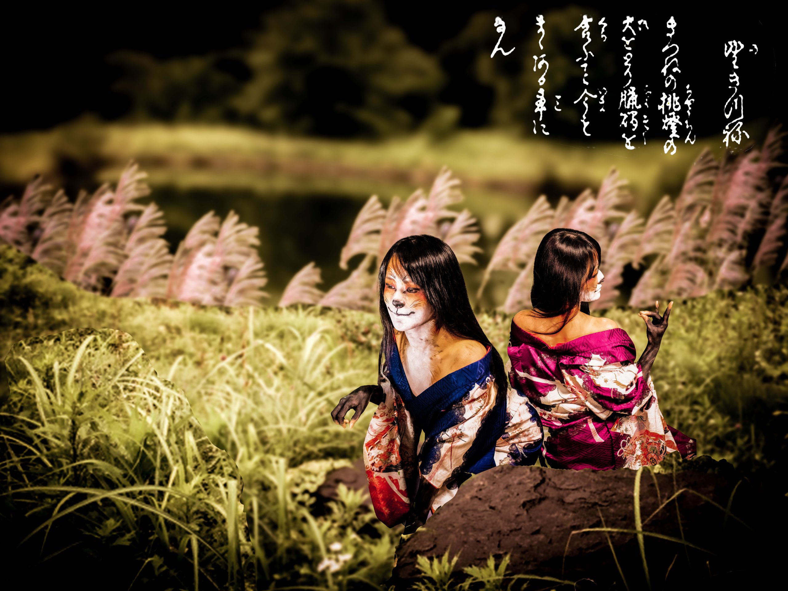 篠崎狐001